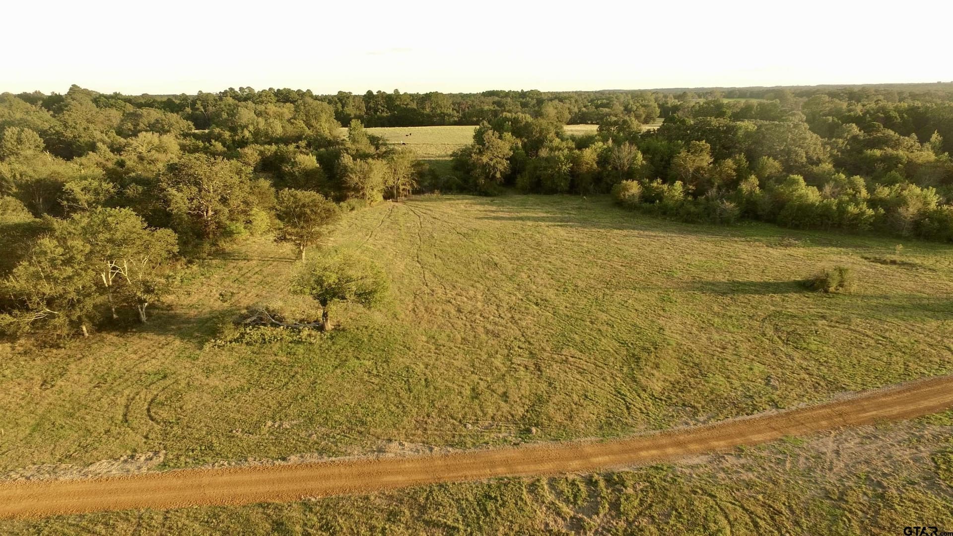 10.09 acres in Titus County - photo 7