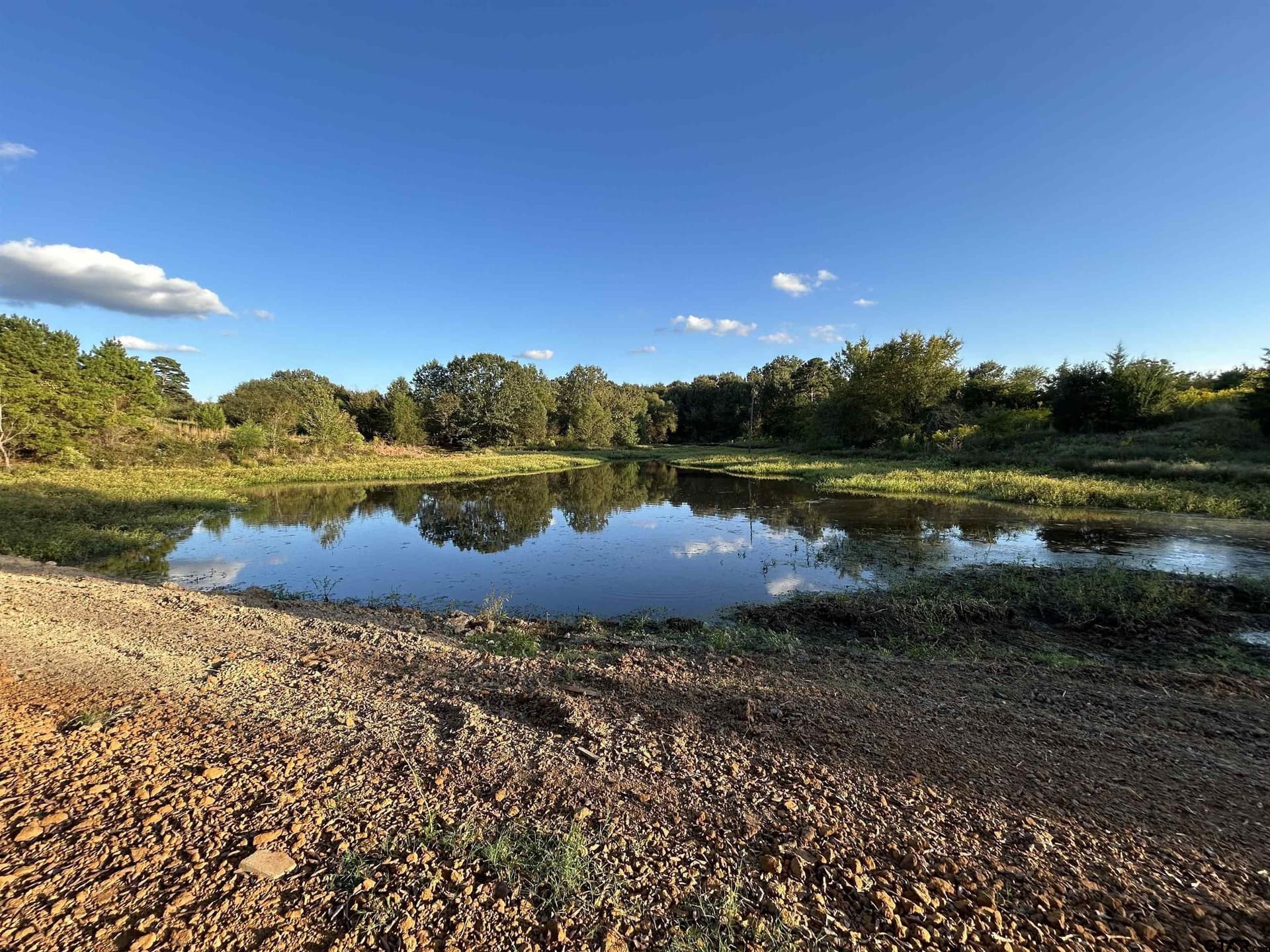 10.09 acres in Titus County - photo 8