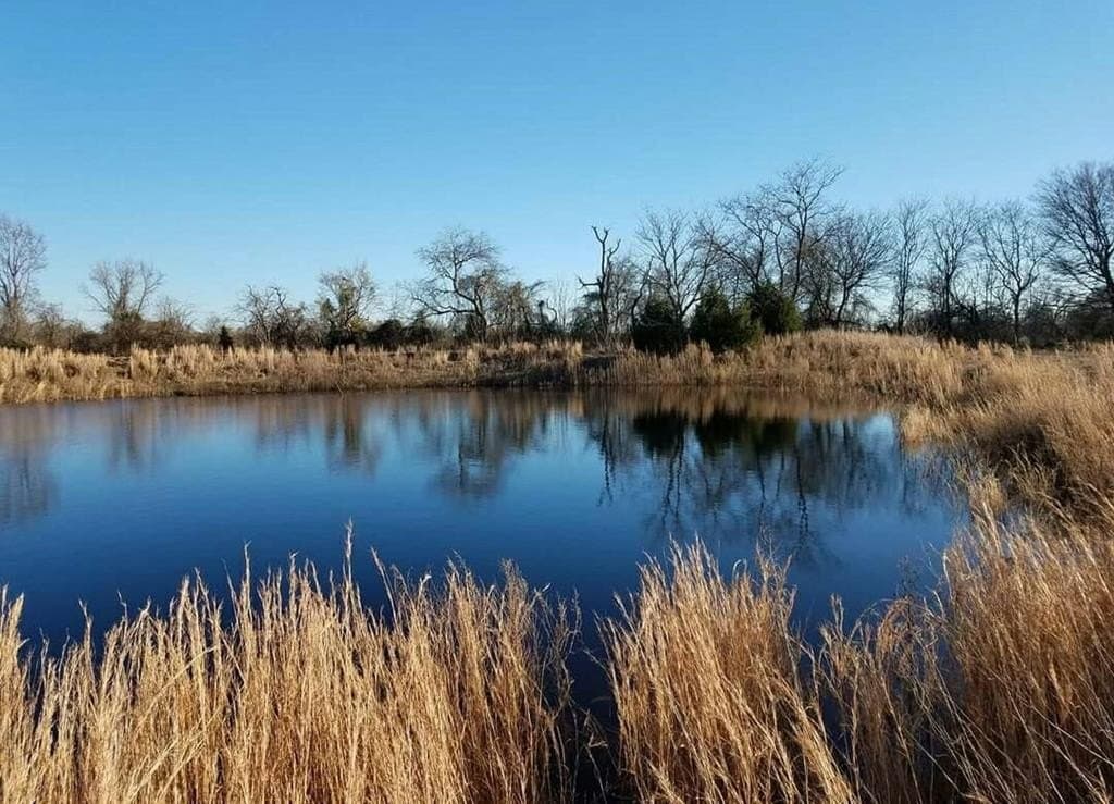 10 acres in Van Zandt County - photo 41