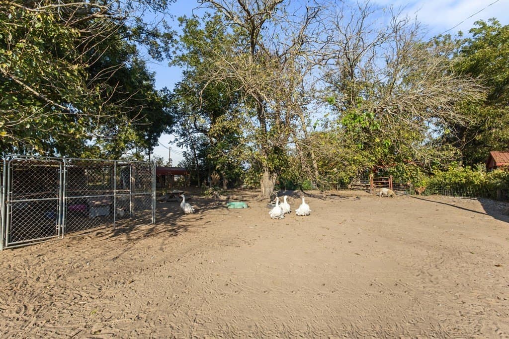 10 acres in Van Zandt County - photo 45