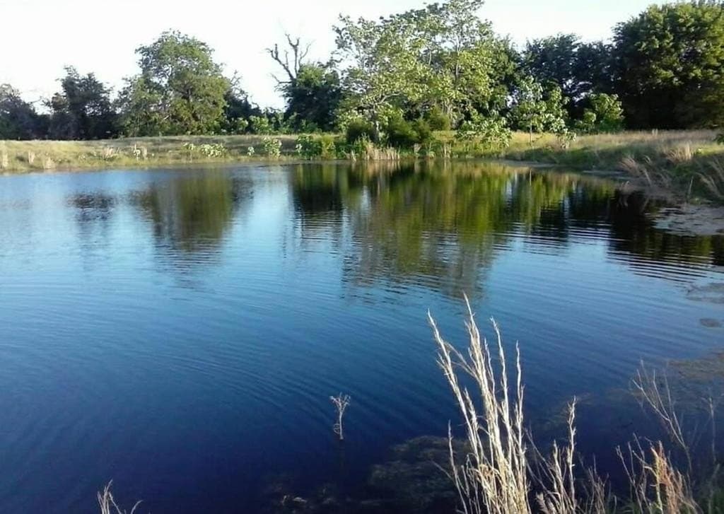 10 acres in Van Zandt County - photo 40