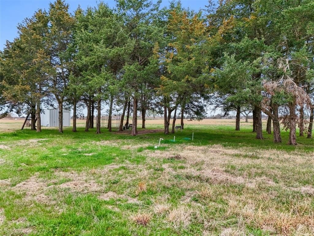 21.55 acres in Fannin County - photo 9