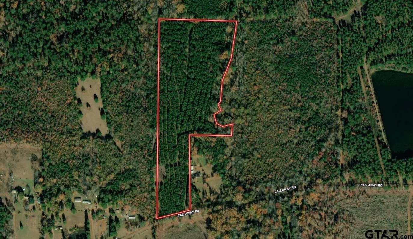 21.76 acres in Harrison County - photo 3