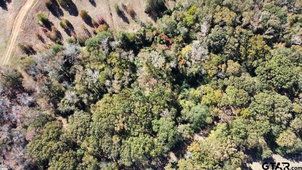 32.03 acres in Rusk County - photo 8