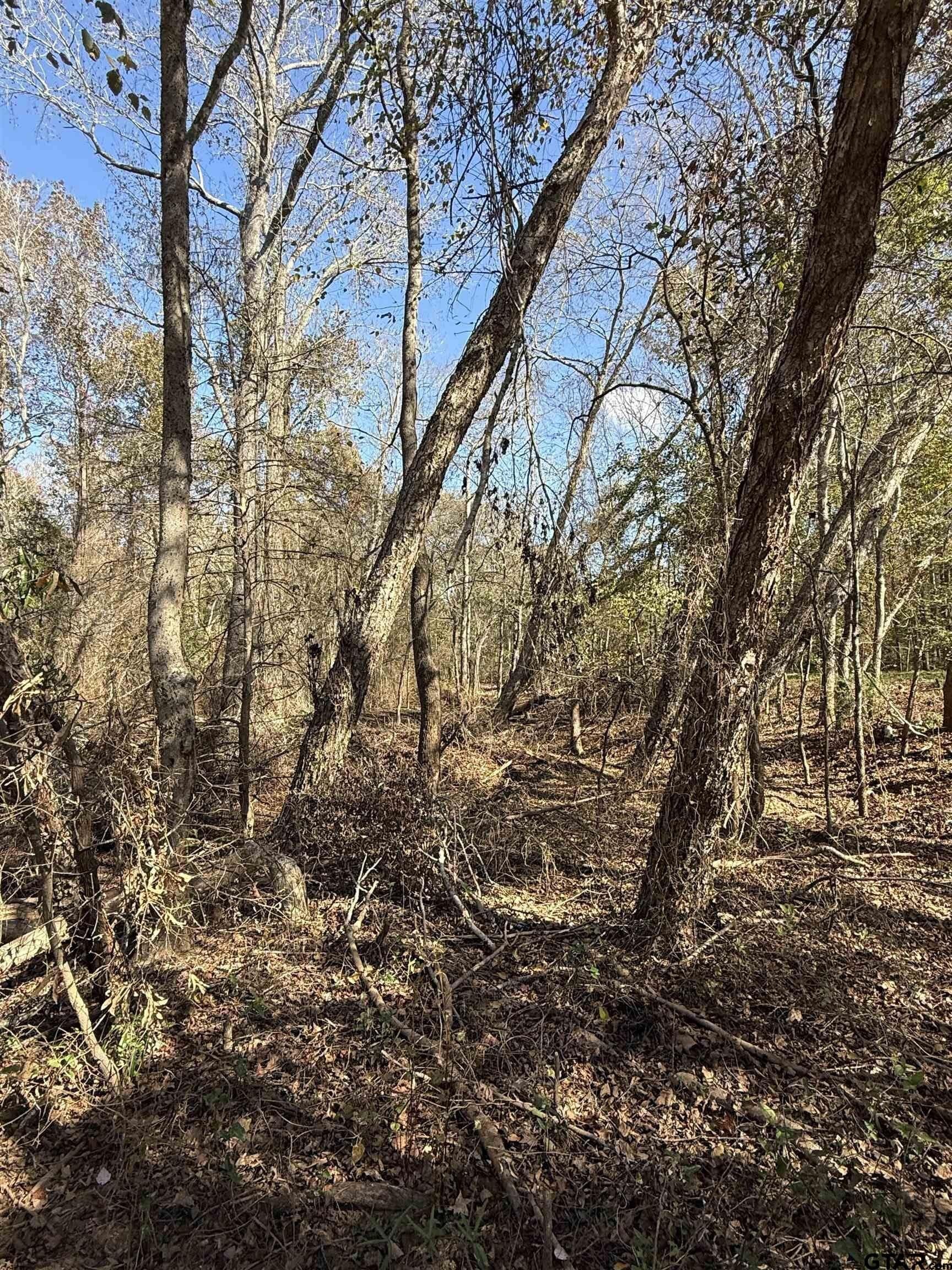 32.03 acres in Rusk County - photo 22