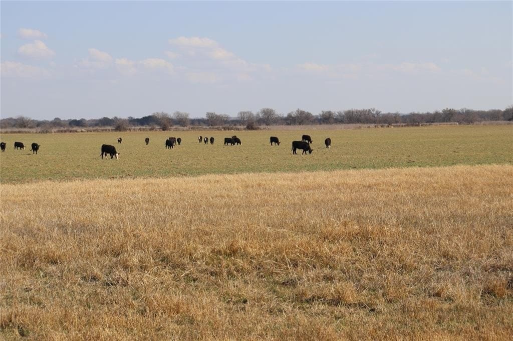 62.13 acres in Comanche County - photo 21