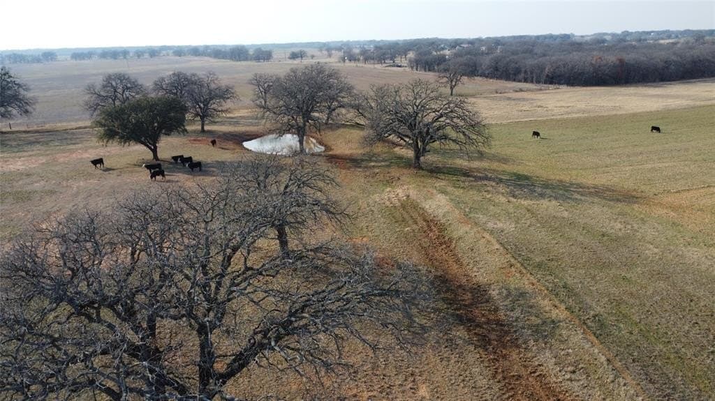 62.13 acres in Comanche County - photo 6