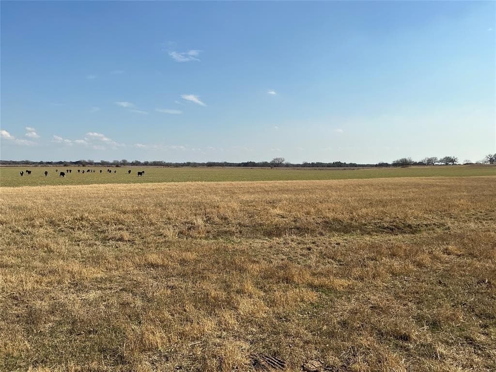 62.13 acres in Comanche County - photo 12