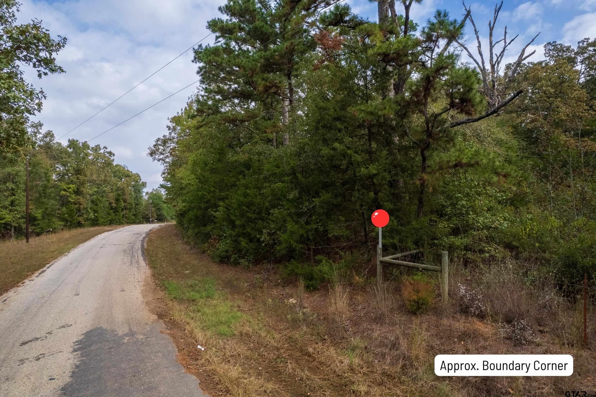 44.65 acres in Camp County - photo 4