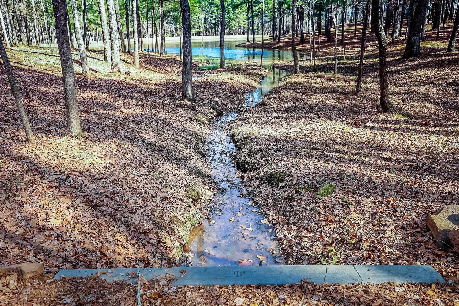40 acres in Marion County - photo 45