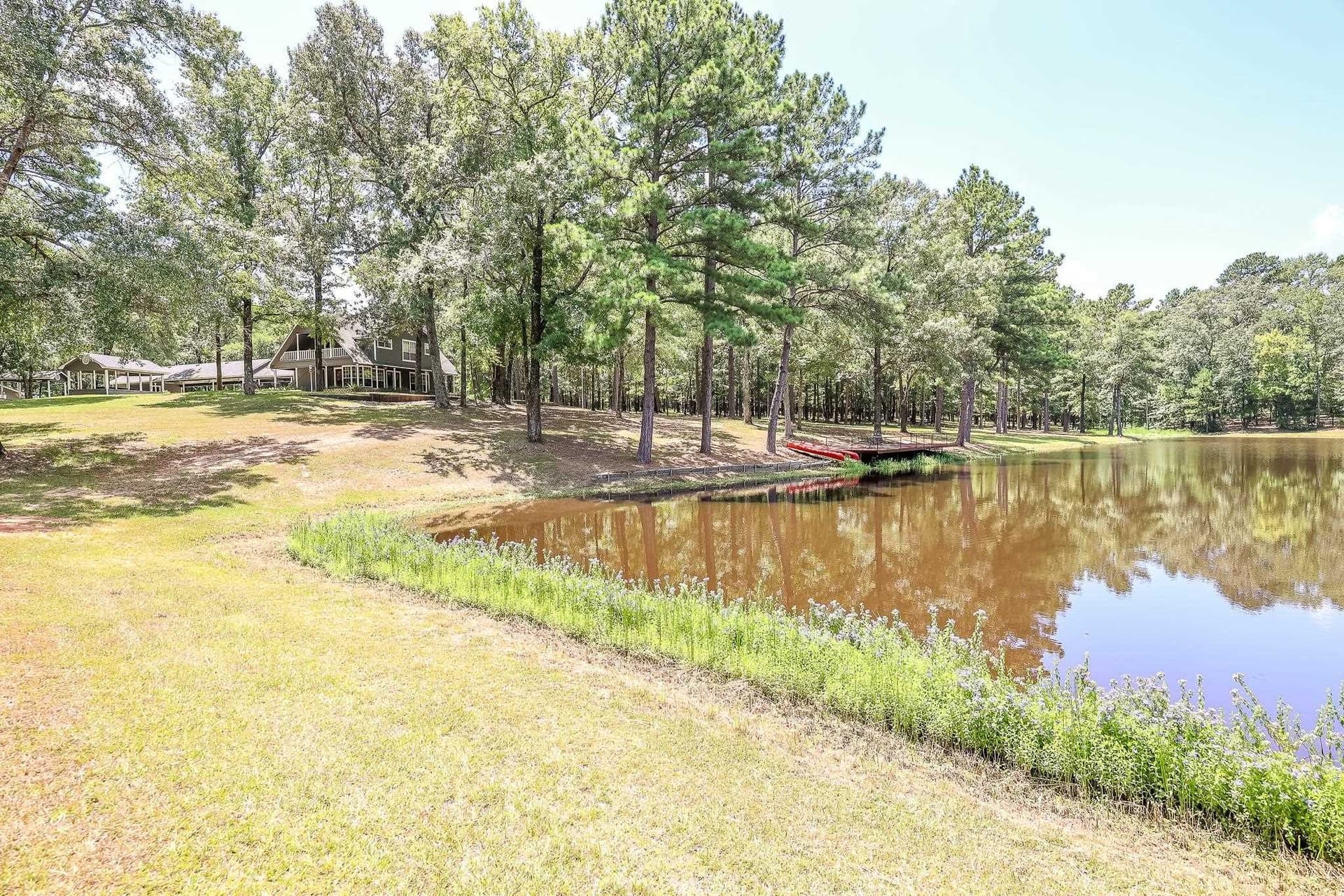 40 acres in Marion County - photo 8