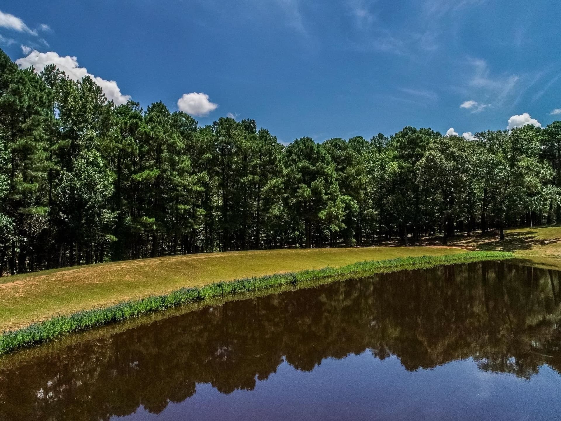 40 acres in Marion County - photo 48