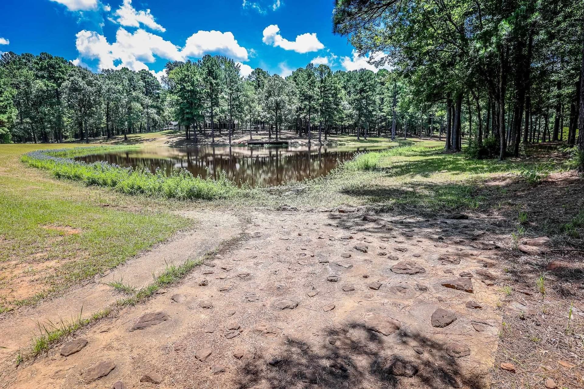 40 acres in Marion County - photo 44