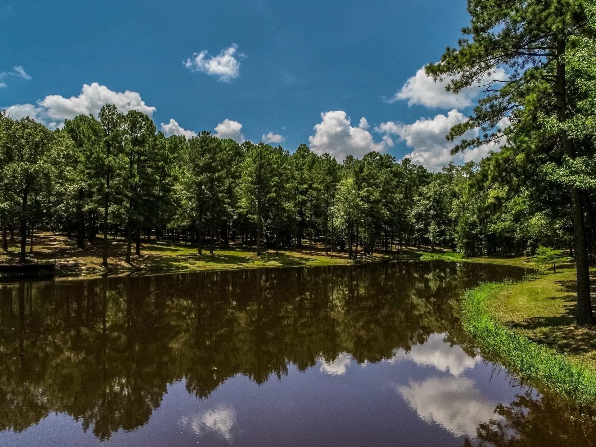 40 acres in Marion County - photo 47