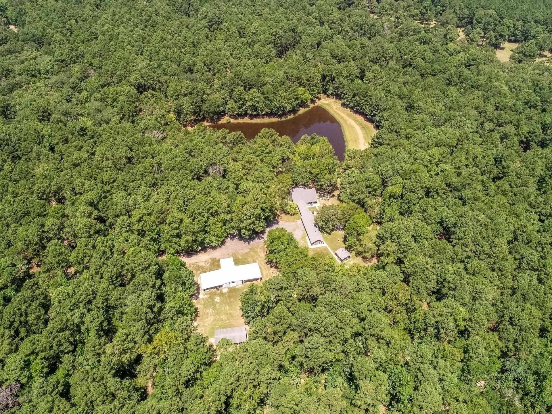40 acres in Marion County - photo 9