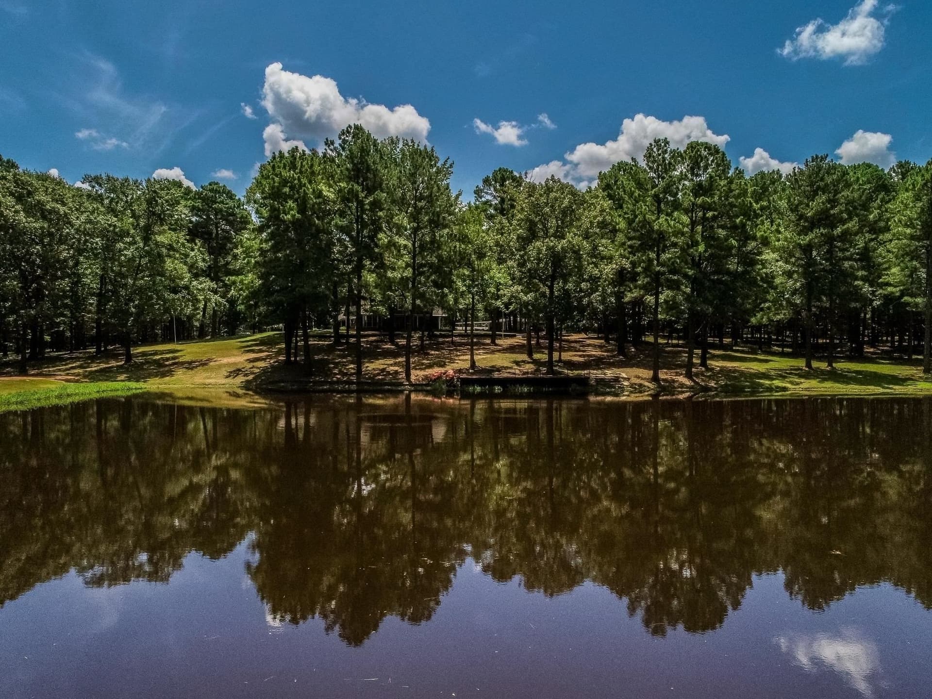 40 acres in Marion County - photo 46