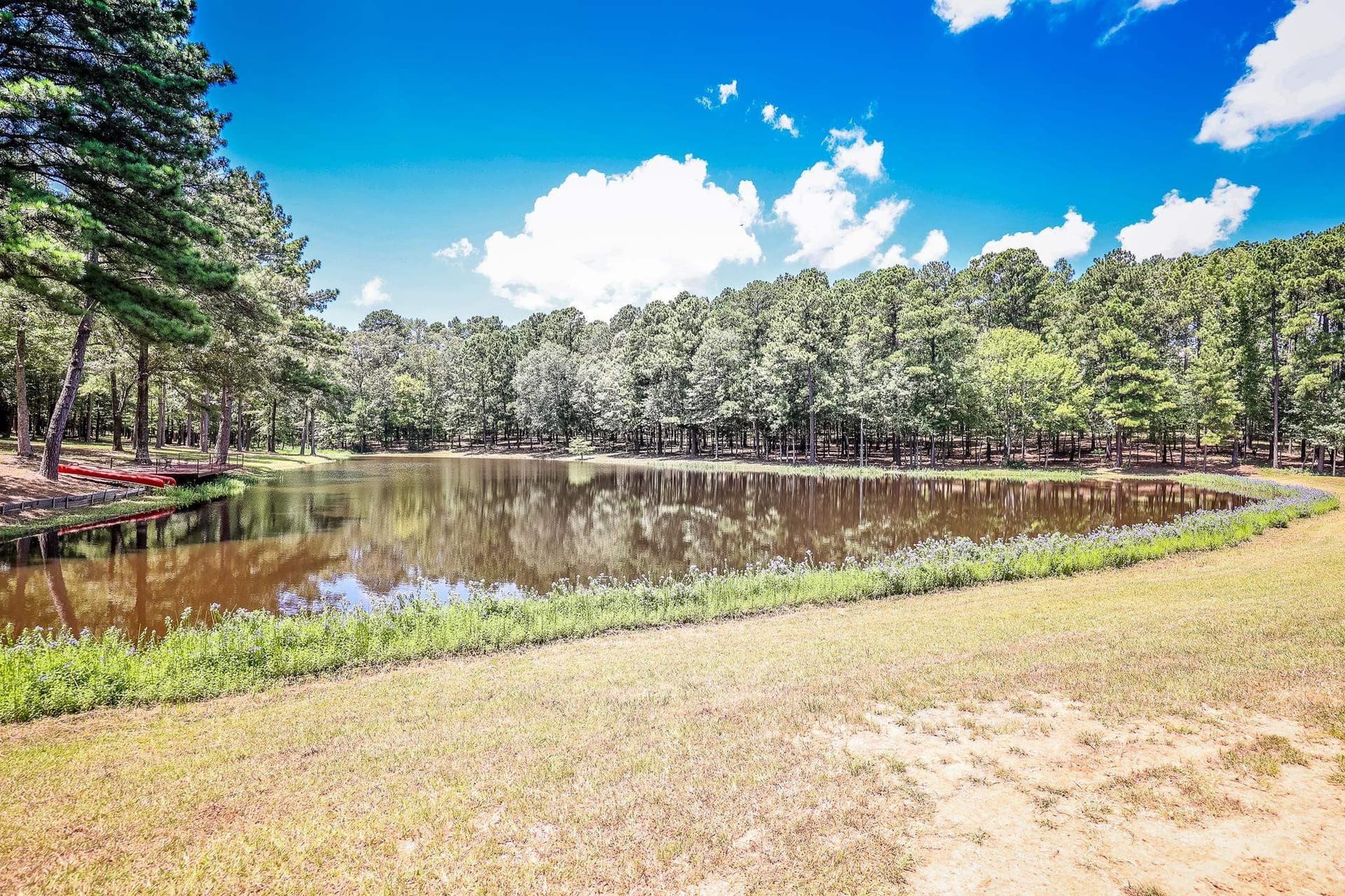 40 acres in Marion County - photo 43