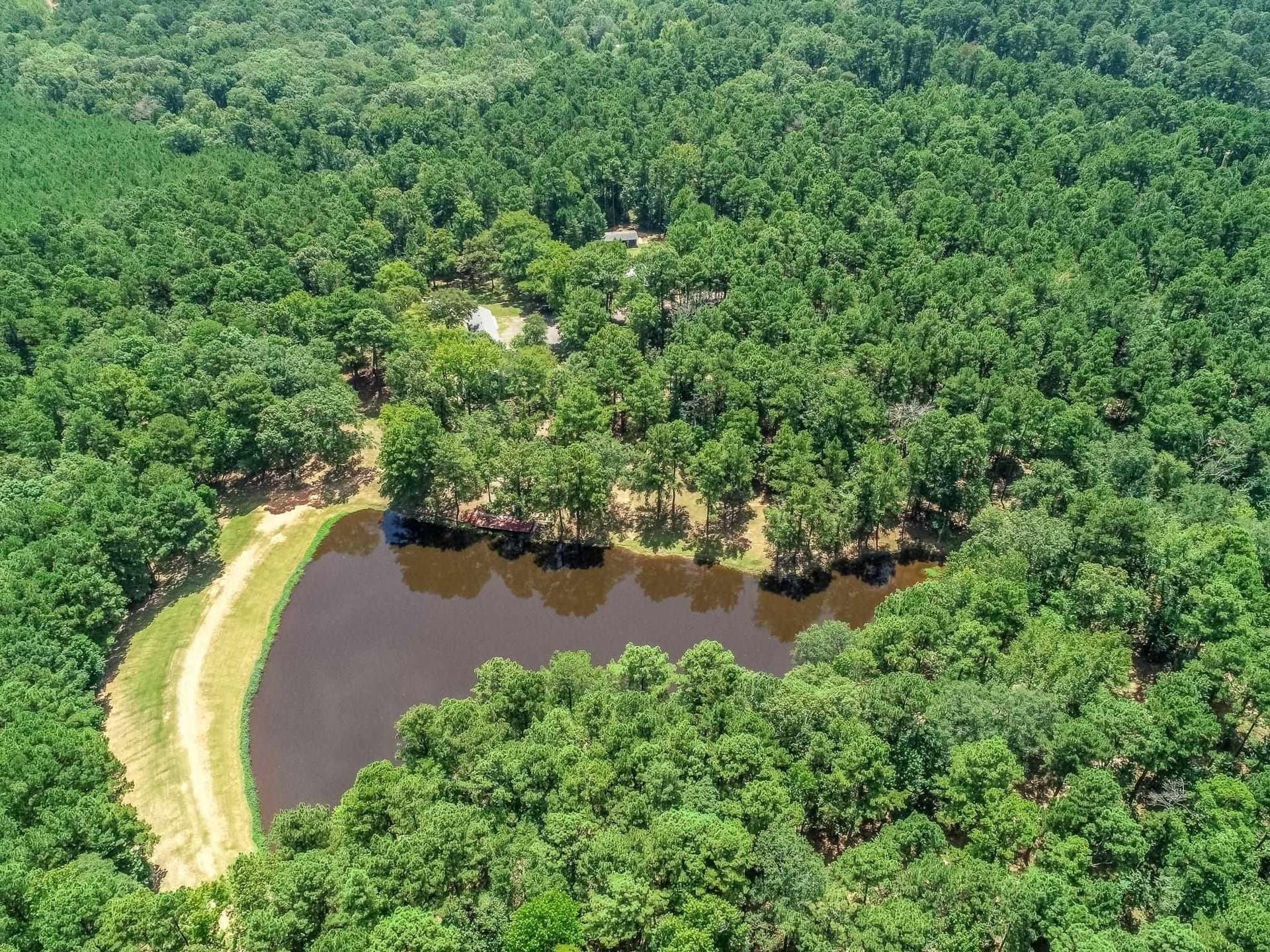 40 acres in Marion County - photo 49