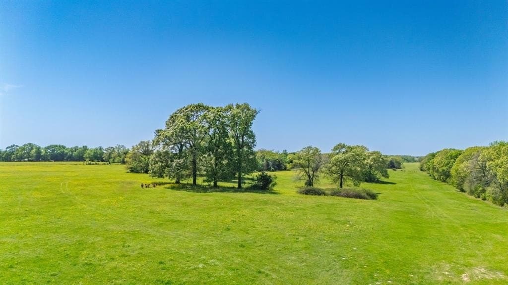 36.41 acres in Rains County - photo 10