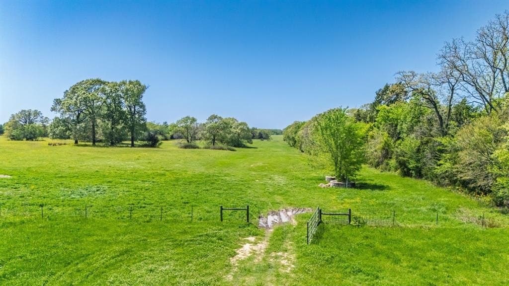 36.41 acres in Rains County - photo 11
