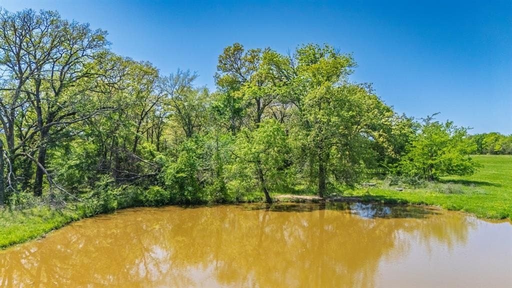 36.41 acres in Rains County - photo 4