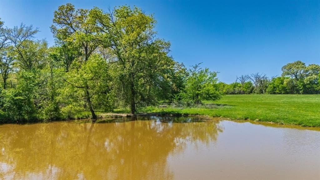 36.41 acres in Rains County - photo 35