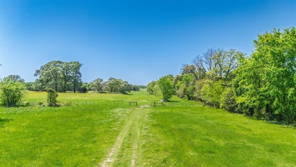 36.41 acres in Rains County - photo 8