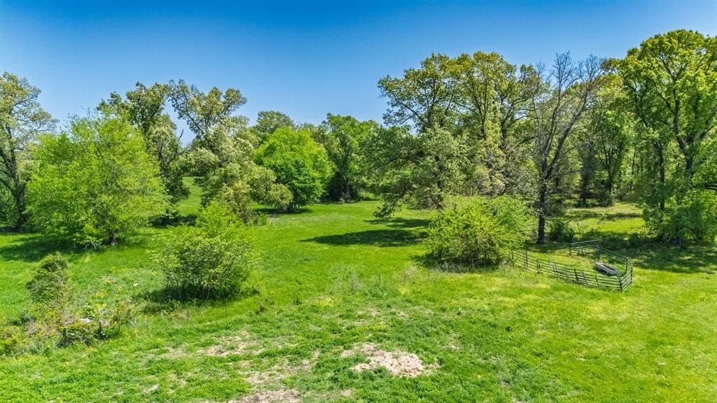 36.41 acres in Rains County - photo 13