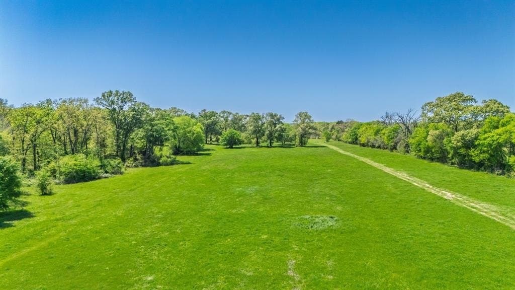 36.41 acres in Rains County - photo 7