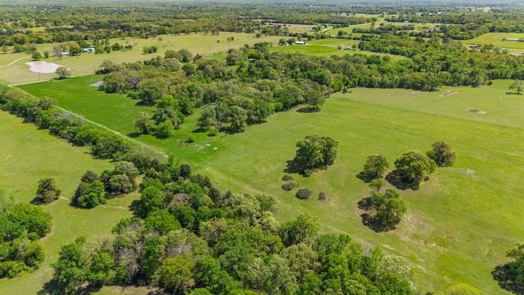 36.41 acres in Rains County - photo 24