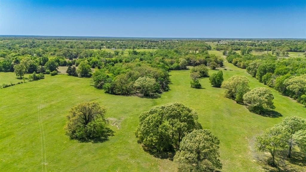 36.41 acres in Rains County - photo 14