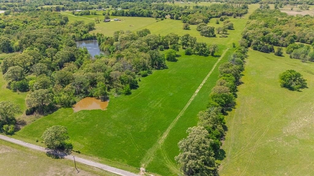 36.41 acres in Rains County - photo 3