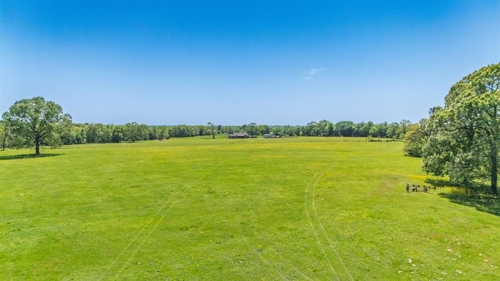 36.41 acres in Rains County - photo 15