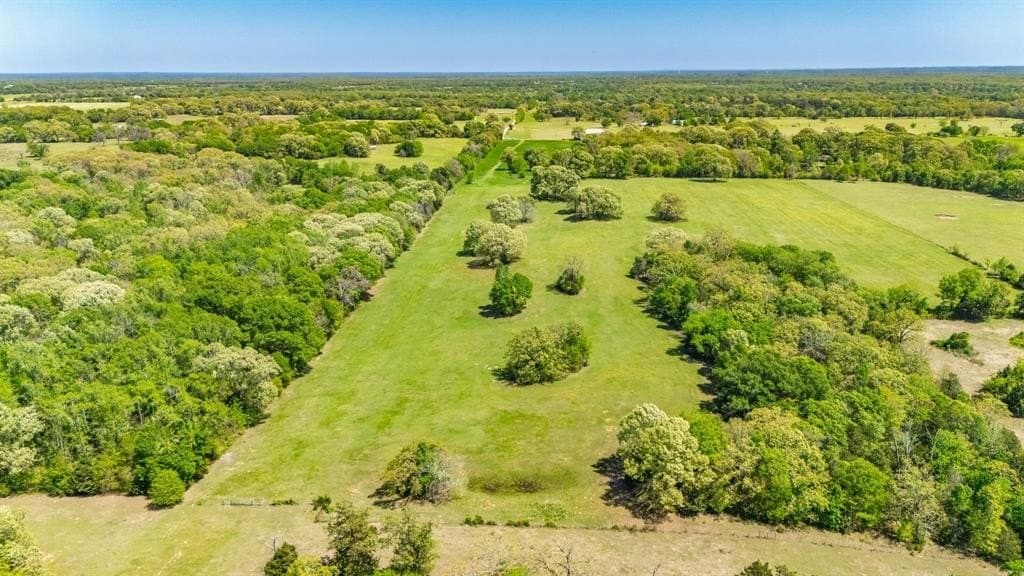 36.41 acres in Rains County - photo 16
