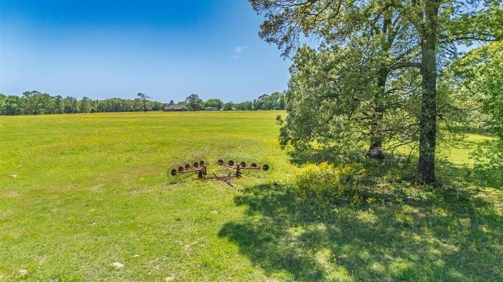 36.41 acres in Rains County - photo 32