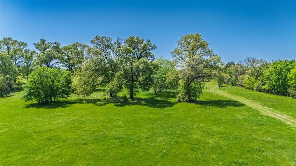 36.41 acres in Rains County - photo 6