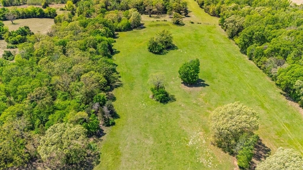 36.41 acres in Rains County - photo 17