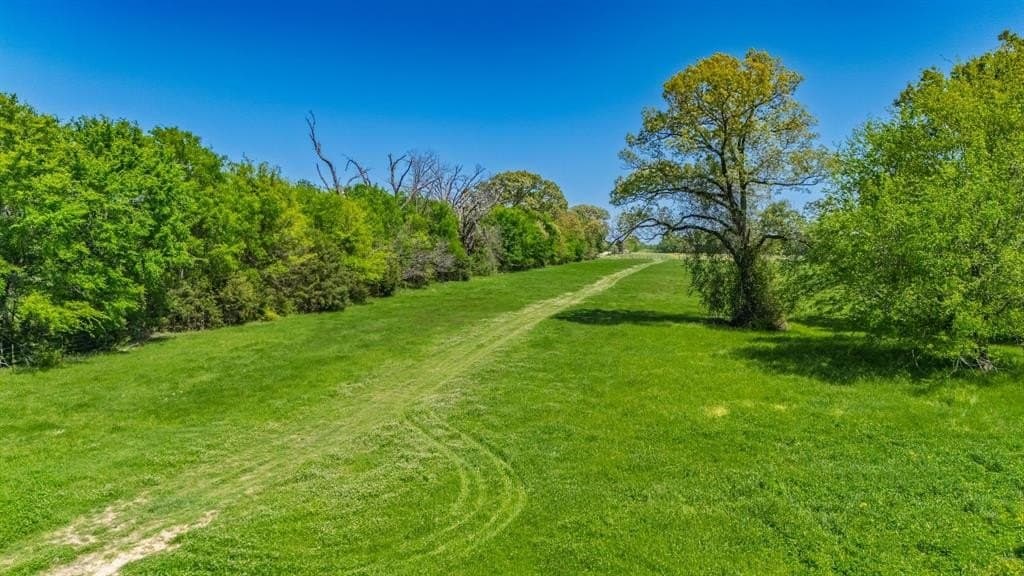 36.41 acres in Rains County - photo 28