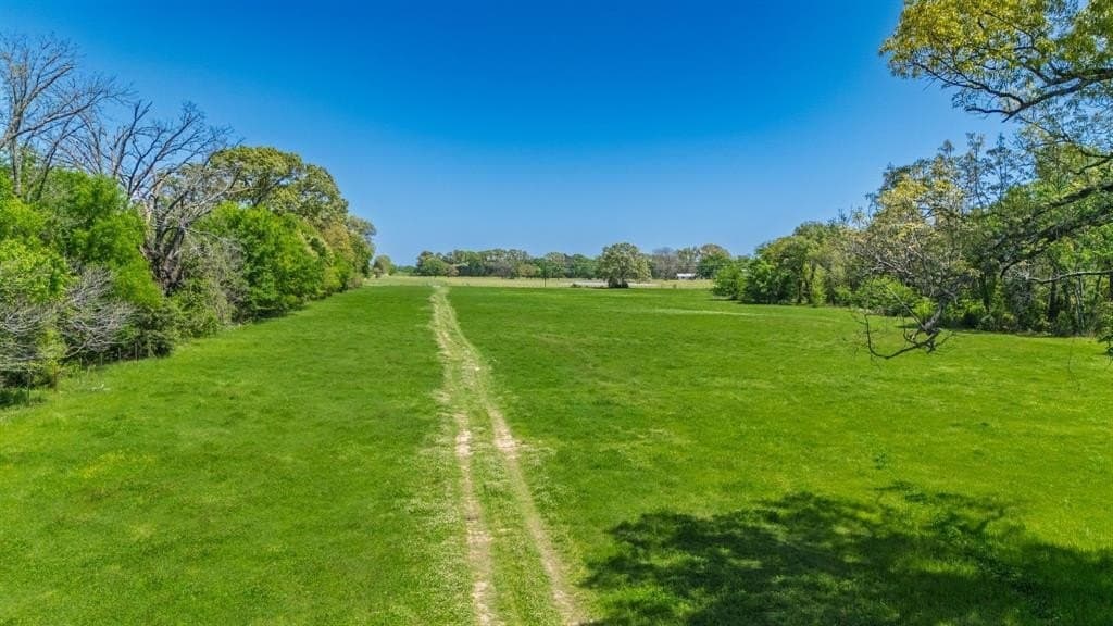 36.41 acres in Rains County - photo 27