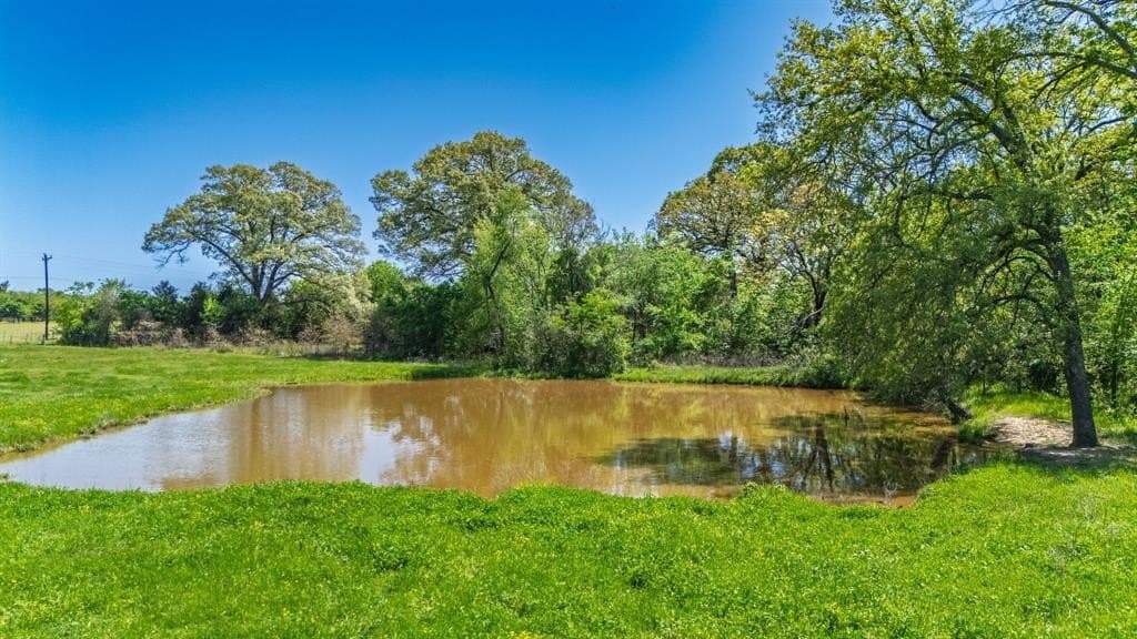 36.41 acres in Rains County - photo 34
