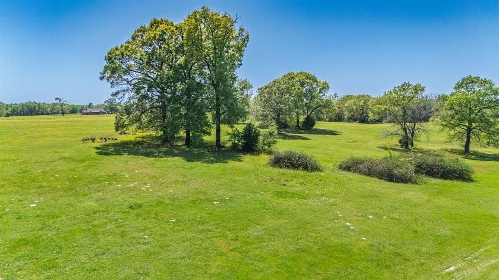 36.41 acres in Rains County - photo 33