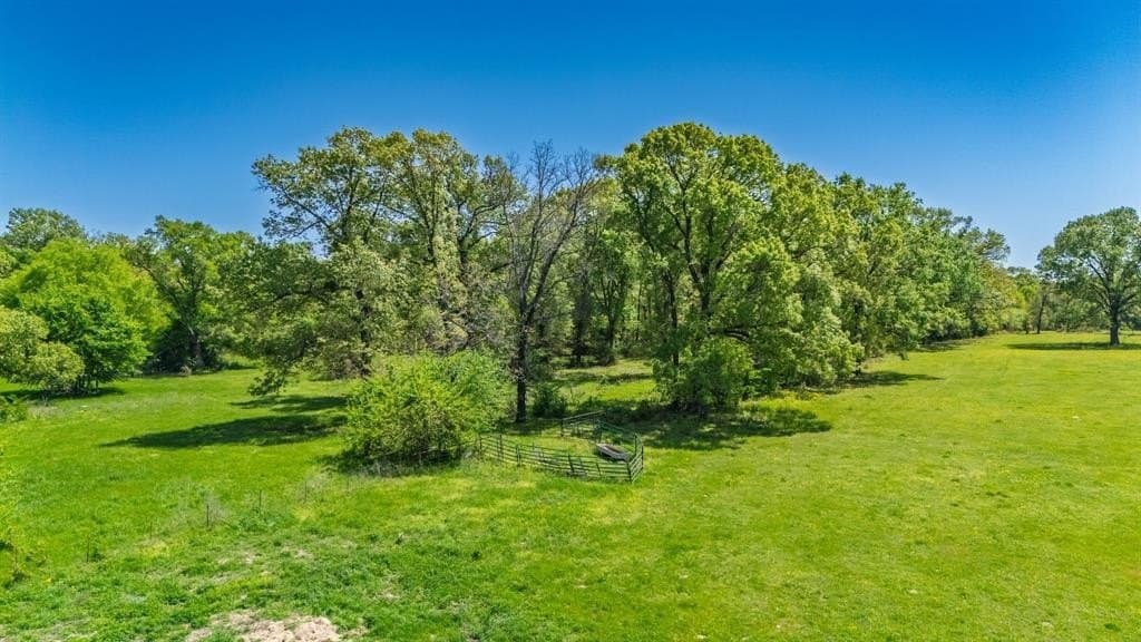 36.41 acres in Rains County - photo 12