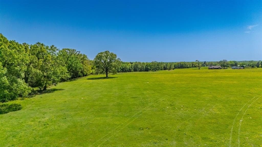 36.41 acres in Rains County - photo 26