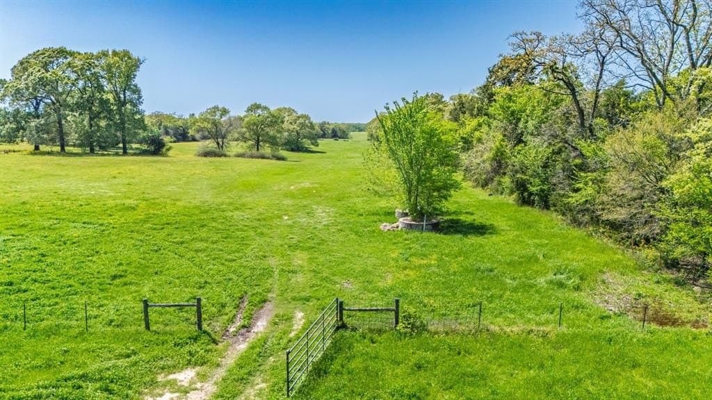 36.41 acres in Rains County - photo 30