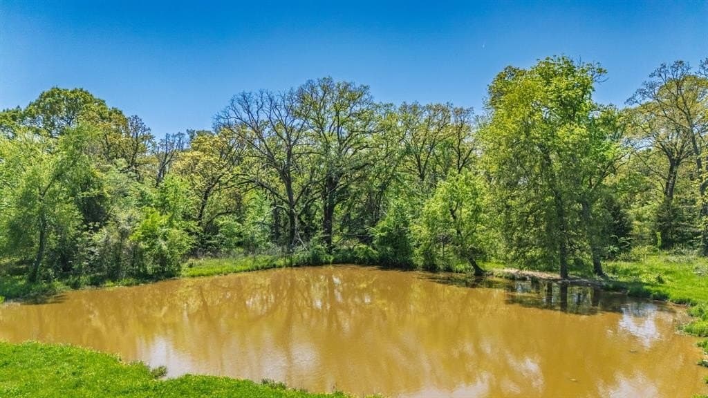 36.41 acres in Rains County - photo 5