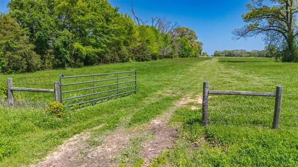 36.41 acres in Rains County - photo 31