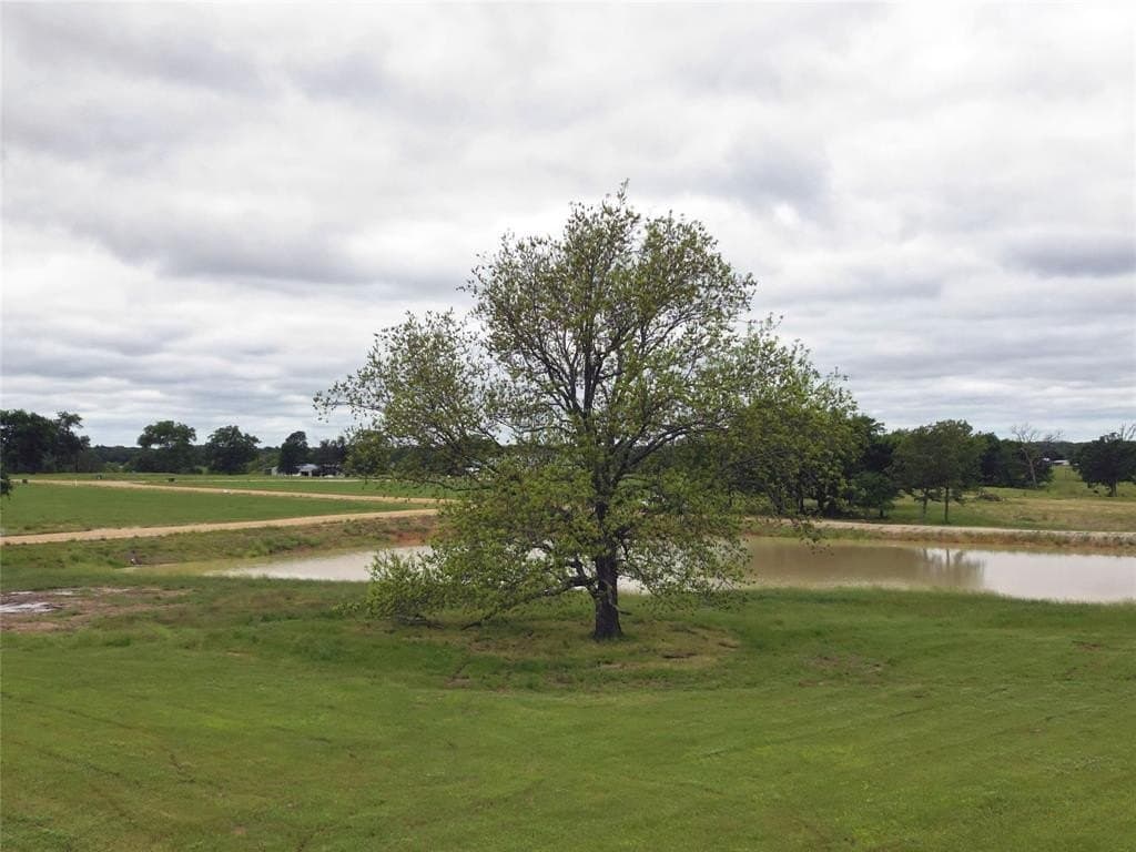 2.98 acres in Wood County - photo 5