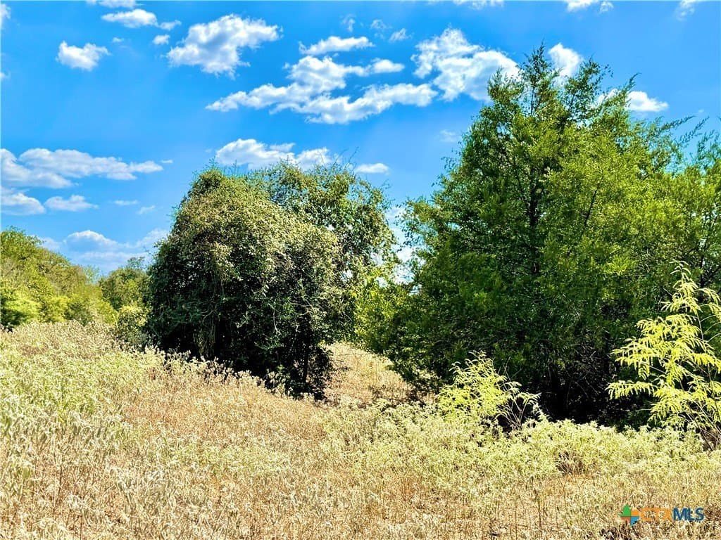 50.62 acres in Bastrop County - photo 15