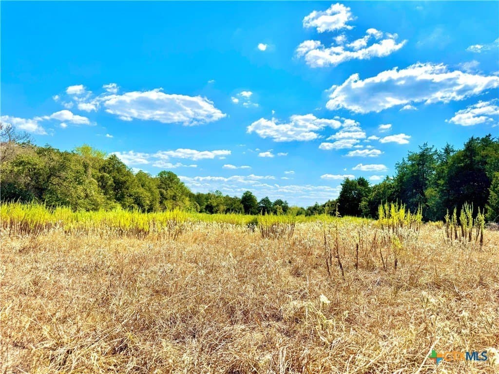 50.62 acres in Bastrop County - photo 17