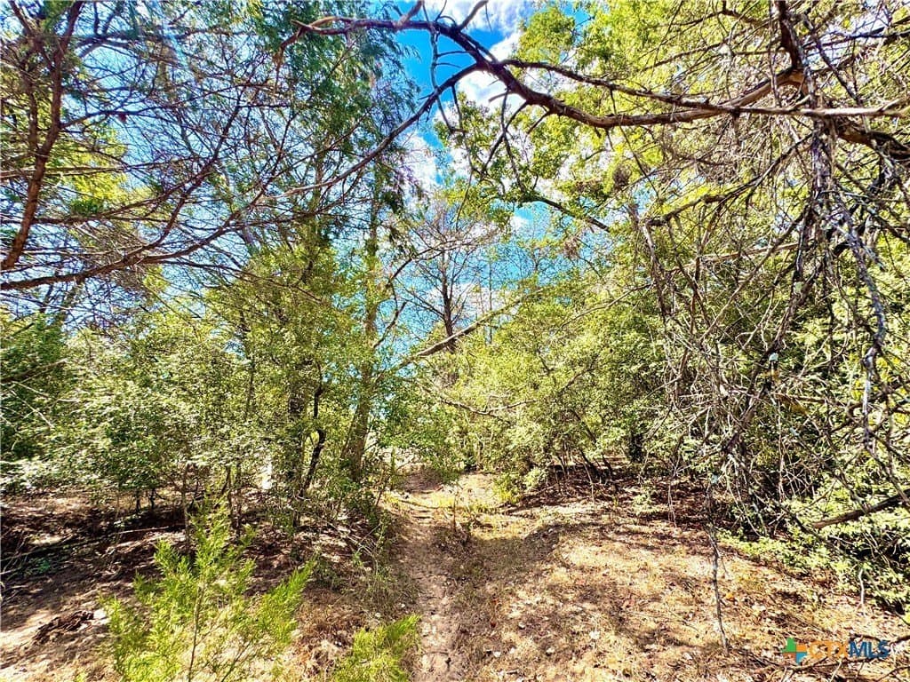 50.62 acres in Bastrop County - photo 8